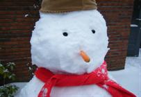 Close Up van Snowie
