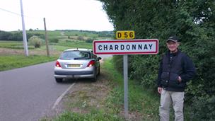 Chardonnay