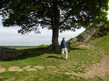 Sycamore Gap