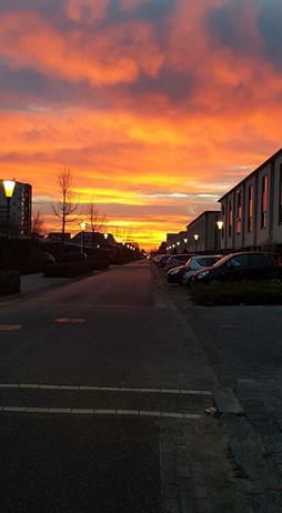 Ochtendrood Oosterheem 8 december