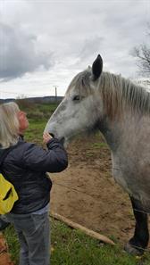 Tamara bij het paard van Armand Vincent